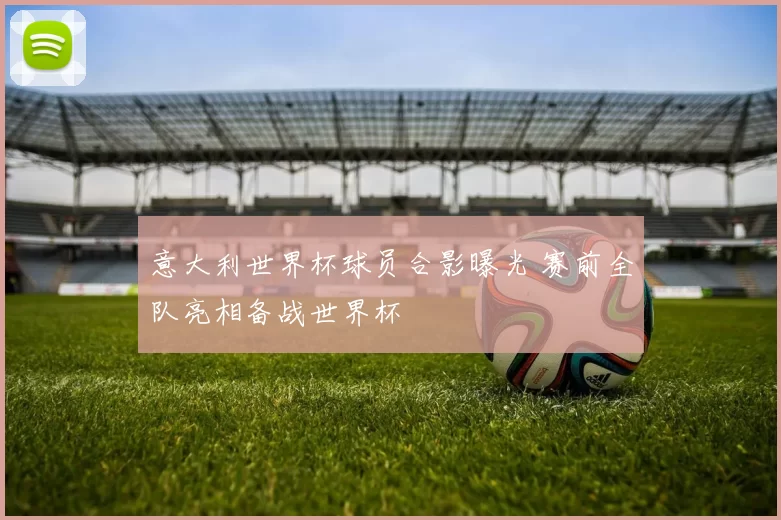 意大利世界杯球员合影曝光 赛前全队亮相备战世界杯