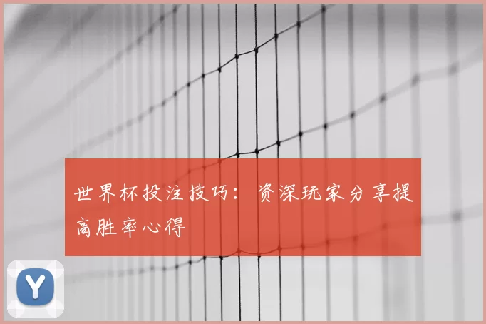 世界杯投注技巧：资深玩家分享提高胜率心得