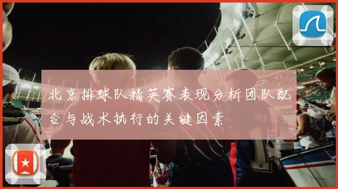 北京排球队精英赛表现分析团队配合与战术执行的关键因素