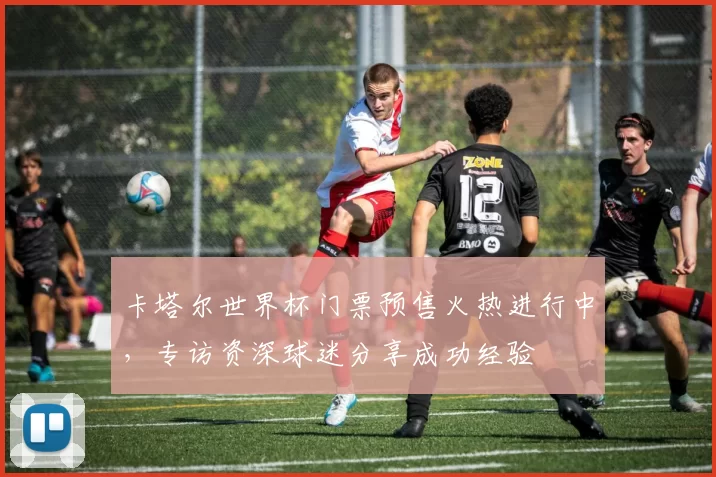卡塔尔世界杯门票预售火热进行中,专访资深球迷分享成功经验