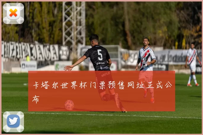 卡塔尔世界杯门票预售网址正式公布