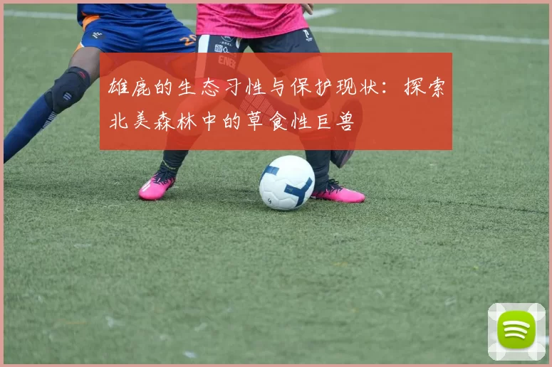 雄鹿的生态习性与保护现状:探索北美森林中的草食性巨兽