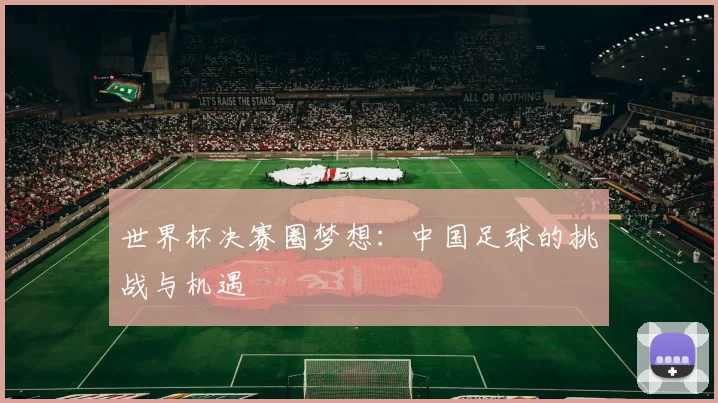 世界杯决赛圈梦想：中国足球的挑战与机遇