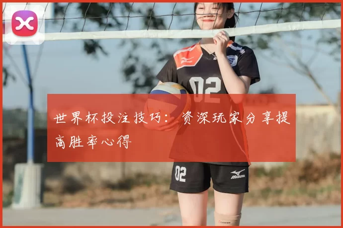 世界杯投注技巧:资深玩家分享提高胜率心得