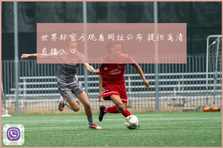 世界杯官方观看网址公布 提供高清直播入口