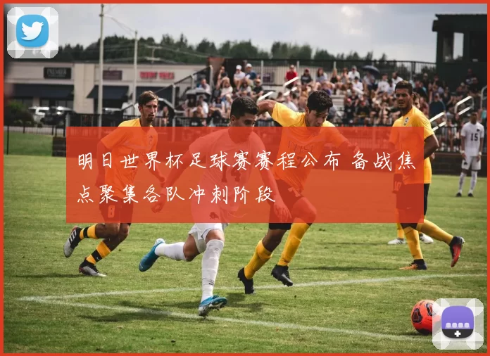 明日世界杯足球赛赛程公布 备战焦点聚集各队冲刺阶段