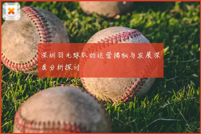 深圳羽毛球队的运营揭秘与发展深度分析探讨
