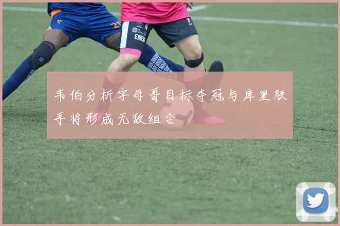 韦伯分析字母哥目标夺冠与库里联手将形成无敌组合