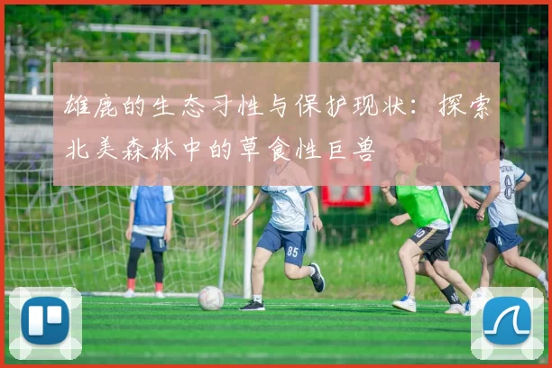 雄鹿的生态习性与保护现状：探索北美森林中的草食性巨兽