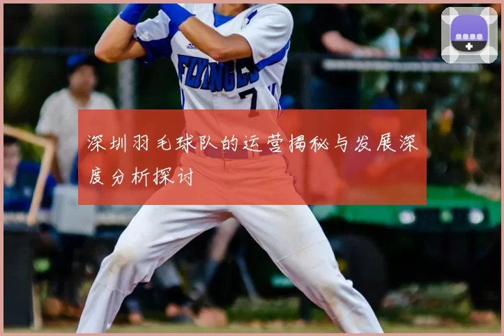 深圳羽毛球队的运营揭秘与发展深度分析探讨
