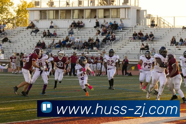 登录器